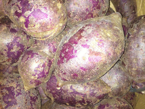 食堂配送厂家紫薯的营养价值有哪些？
